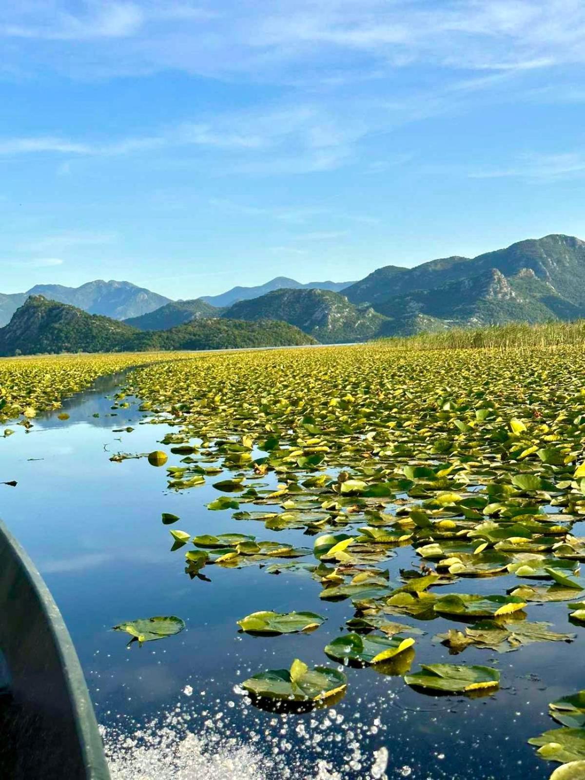 Casa Di Kiara, Skadar Lake Dodosi Zewnętrze zdjęcie